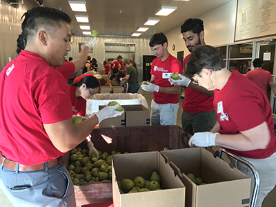 Vit Plant employees at Second Harvest, 2017